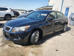 2010 Honda Accord EXL en venta en Memphis, TN