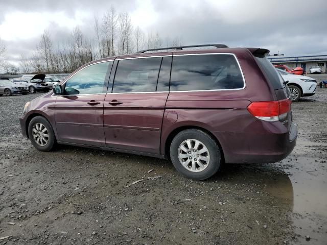 2008 Honda Odyssey EXL