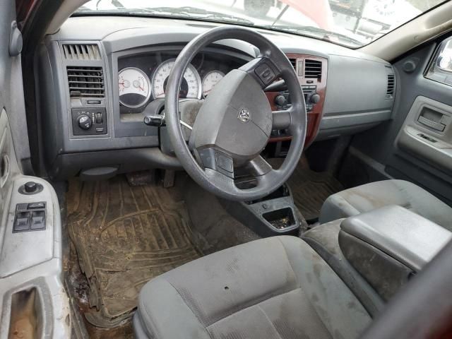 2005 Dodge Dakota SLT