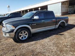 Salvage cars for sale from Copart Phoenix, AZ: 2009 Dodge RAM 1500