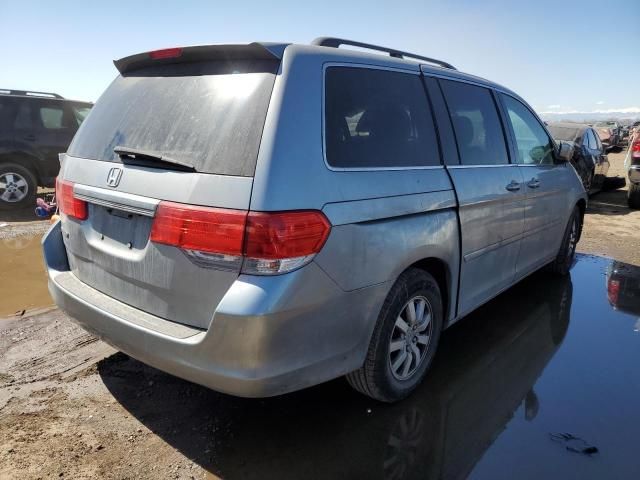 2009 Honda Odyssey EXL