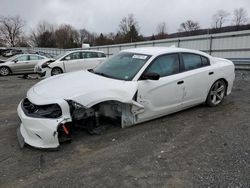 Salvage cars for sale at Grantville, PA auction: 2016 Dodge Charger R/T