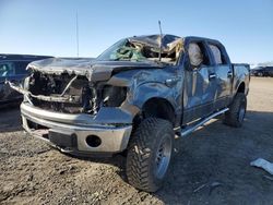 Salvage trucks for sale at Earlington, KY auction: 2013 Ford F150 Supercrew