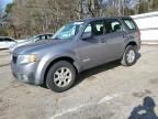 2008 Mazda Tribute I