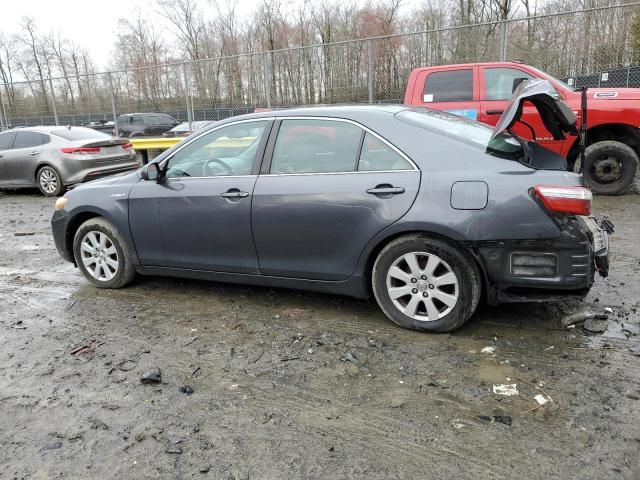 2009 Toyota Camry Hybrid