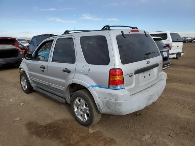 2007 Ford Escape XLT