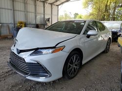 Salvage cars for sale from Copart Midway, FL: 2023 Toyota Camry XLE