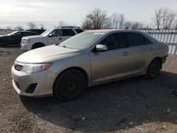 Vehiculos salvage en venta de Copart London, ON: 2014 Toyota Camry L