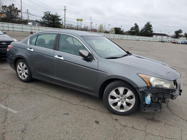 2010 Honda Accord EXL