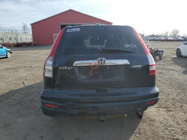 2010 Honda CR-V EXL