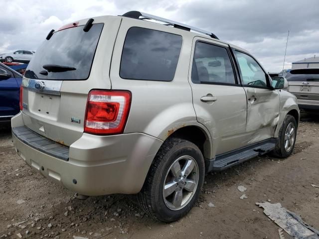 2011 Ford Escape Limited