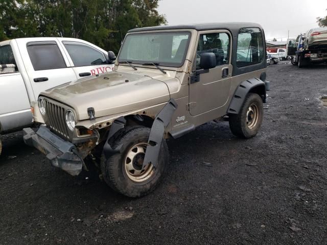 2003 Jeep Wrangler / TJ SE