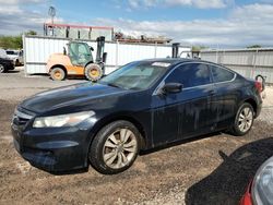 Honda Accord salvage cars for sale: 2011 Honda Accord EXL