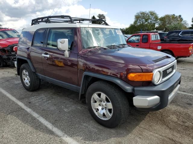 2007 Toyota FJ Cruiser