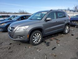Salvage cars for sale from Copart Albany, NY: 2011 Volkswagen Tiguan S