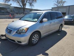 2010 Honda Odyssey EXL en venta en Albuquerque, NM