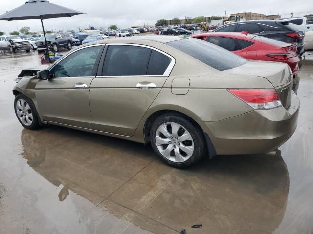 2010 Honda Accord EXL