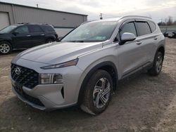 2023 Hyundai Santa FE SEL en venta en Leroy, NY