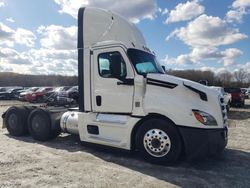 Salvage cars for sale from Copart Spartanburg, SC: 2022 Freightliner Cascadia 126