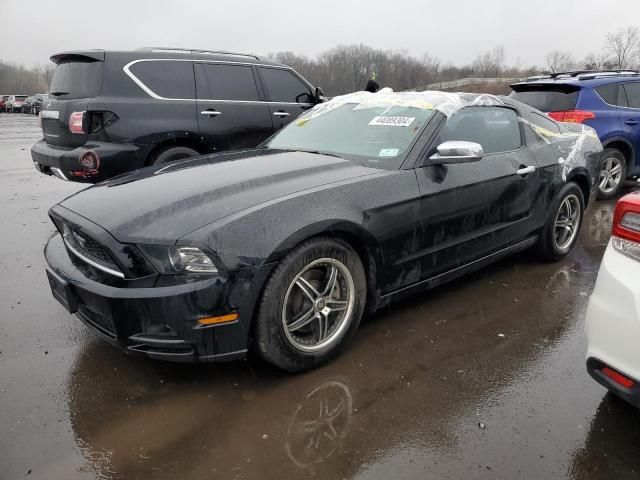 2014 Ford Mustang