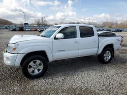 Salvage cars for sale from Copart Louisville, KY: 2005 Toyota Tacoma Double Cab