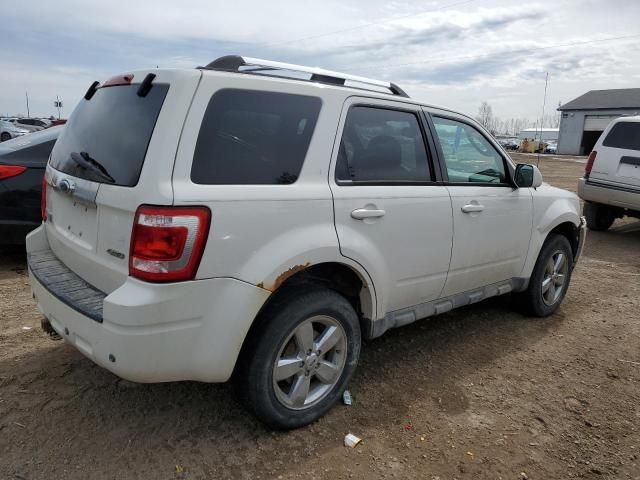 2009 Ford Escape Limited