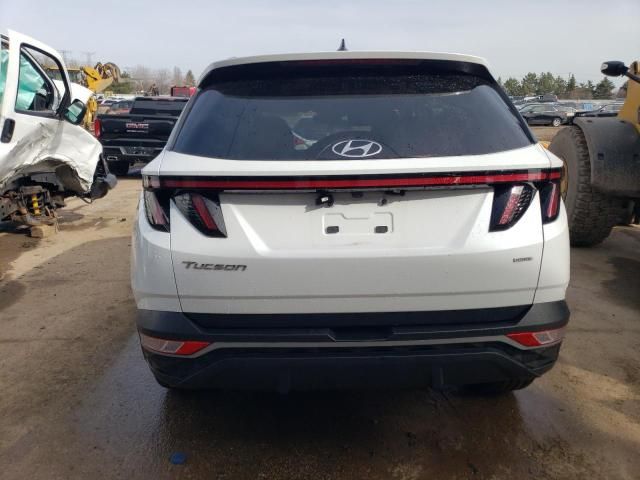 2022 Hyundai Tucson SEL