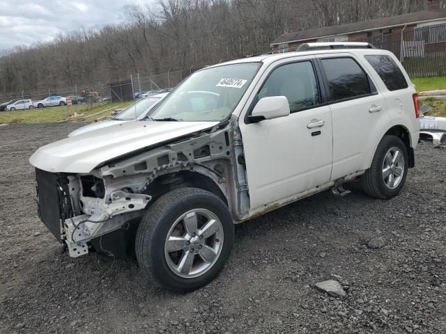 2011 Ford Escape Limited