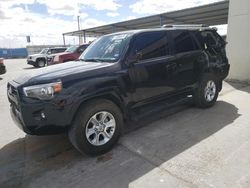Salvage cars for sale at Anthony, TX auction: 2023 Toyota 4runner SR5