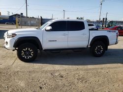 Salvage cars for sale from Copart Los Angeles, CA: 2023 Toyota Tacoma Double Cab