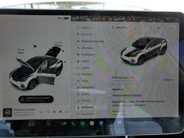 2020 Tesla Model Y