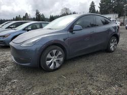 2023 Tesla Model Y en venta en Graham, WA