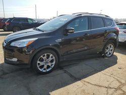 Salvage cars for sale at Woodhaven, MI auction: 2013 Ford Escape SEL