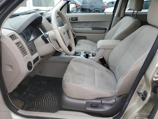 2010 Ford Escape XLT