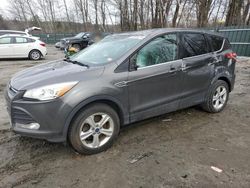 Salvage cars for sale from Copart Candia, NH: 2016 Ford Escape SE