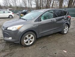 Ford Escape salvage cars for sale: 2016 Ford Escape SE