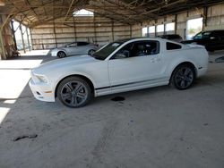 Salvage cars for sale from Copart Phoenix, AZ: 2013 Ford Mustang