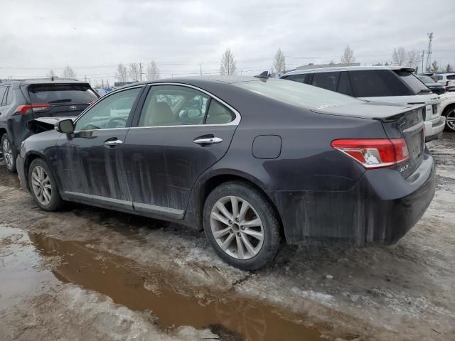 2010 Lexus ES 350