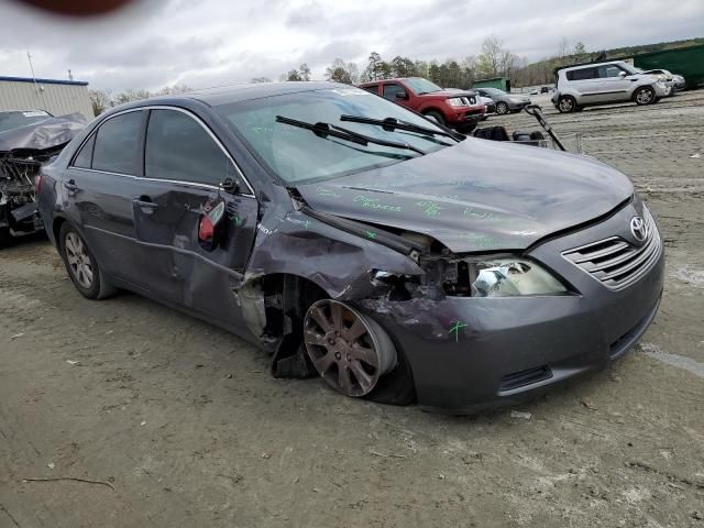 2009 Toyota Camry Hybrid