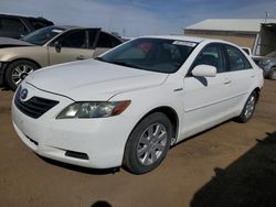 Toyota Camry Hybrid salvage cars for sale: 2009 Toyota Camry Hybrid