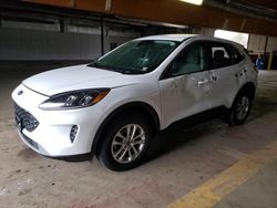 Ford Escape se Vehiculos salvage en venta: 2022 Ford Escape SE