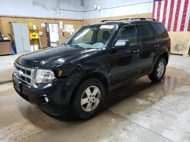 2011 Ford Escape XLT