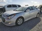 2013 Hyundai Sonata Hybrid