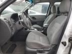 2007 Ford Escape XLT