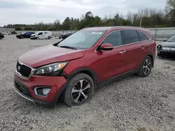 Salvage cars for sale at Memphis, TN auction: 2016 KIA Sorento EX