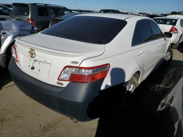 2008 Toyota Camry Hybrid