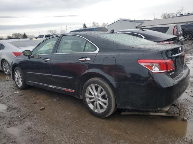 2010 Lexus ES 350