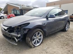 Salvage cars for sale from Copart Hayward, CA: 2023 Tesla Model Y
