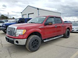 Ford salvage cars for sale: 2010 Ford F150 Supercrew