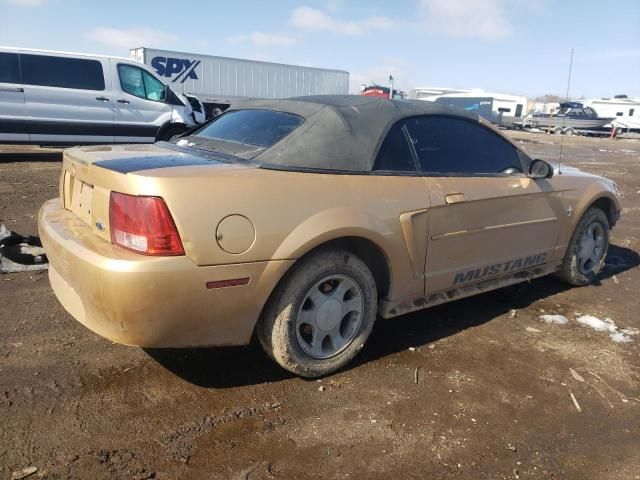 2000 Ford Mustang